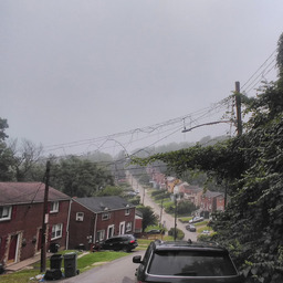 shot of a residential street in moderate fog. the street goes through a valley, and the camera is looking down as it sweeps out and up. there are red brick houses in the foreground, and a row of them in the background. vines are growing up powerlines in the foreground, framed by similarly-shaped foliage a ways out in the background. the sky is a cold, muted color, and everything is lit softly