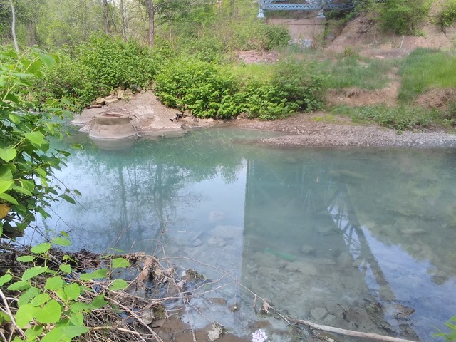 A river, lined with rocks, knotweed, and a sewer drain. The water is a bright, unnatural teal color.